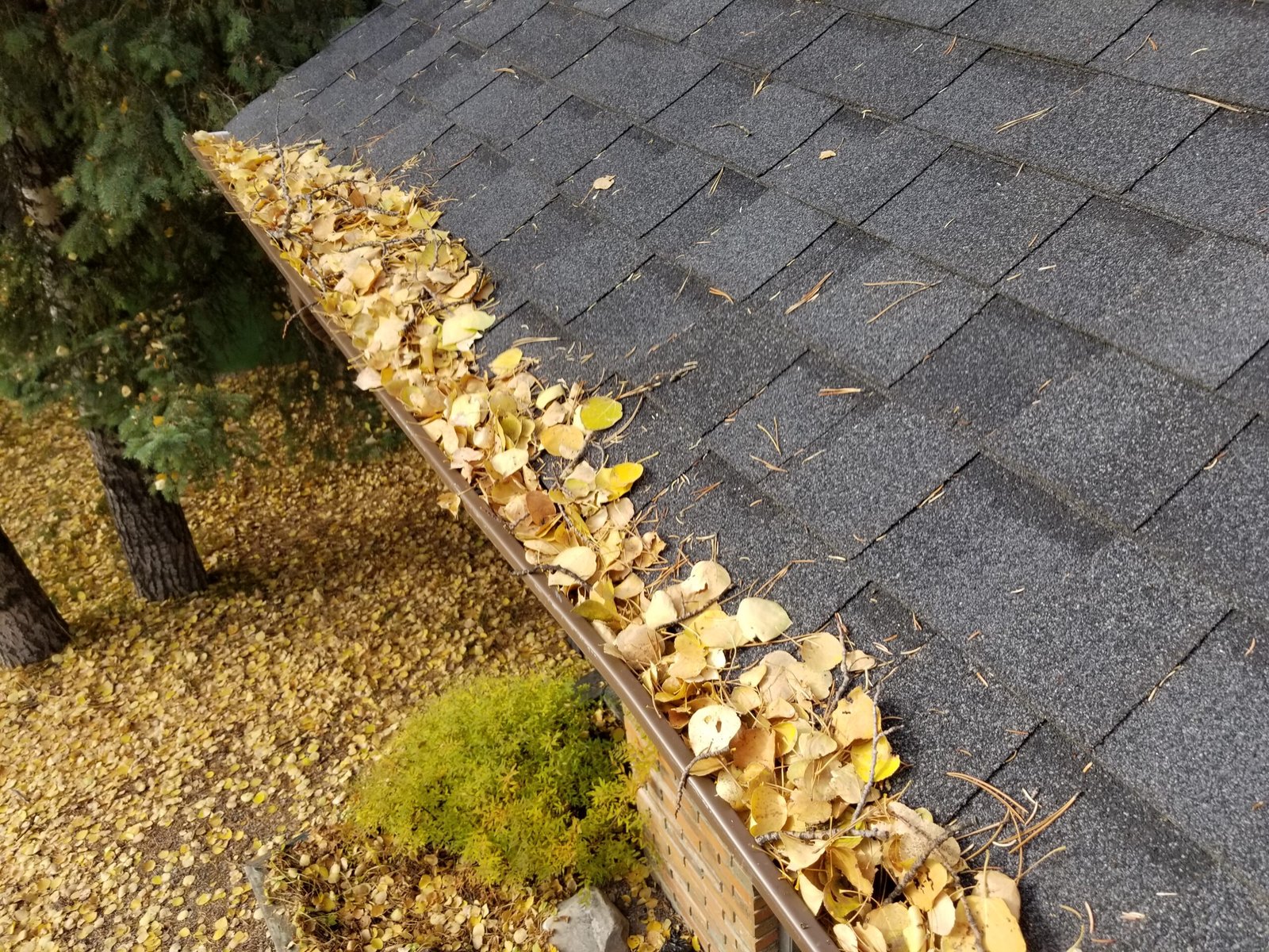 Gutter Cleaning, leaves filled eavestrough