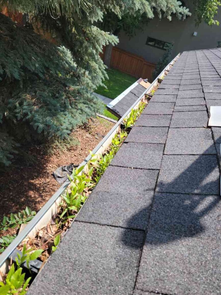 Filled eavestrough or gutters that needs cleaning