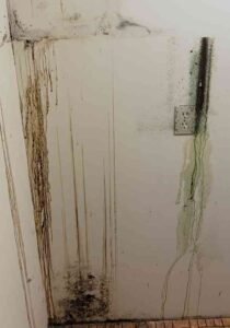 Black mold on wall