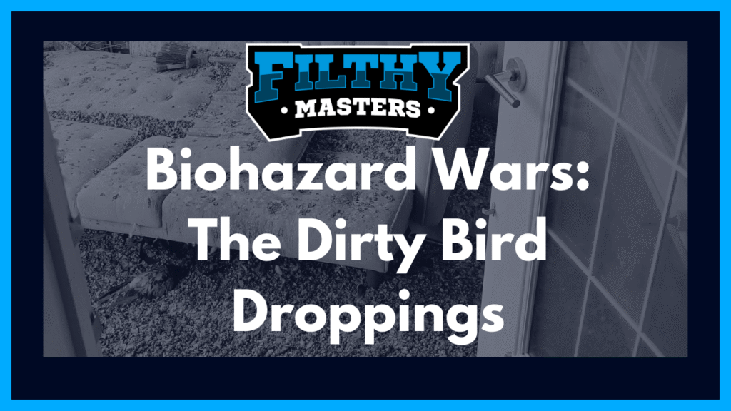 bird dropping clean up