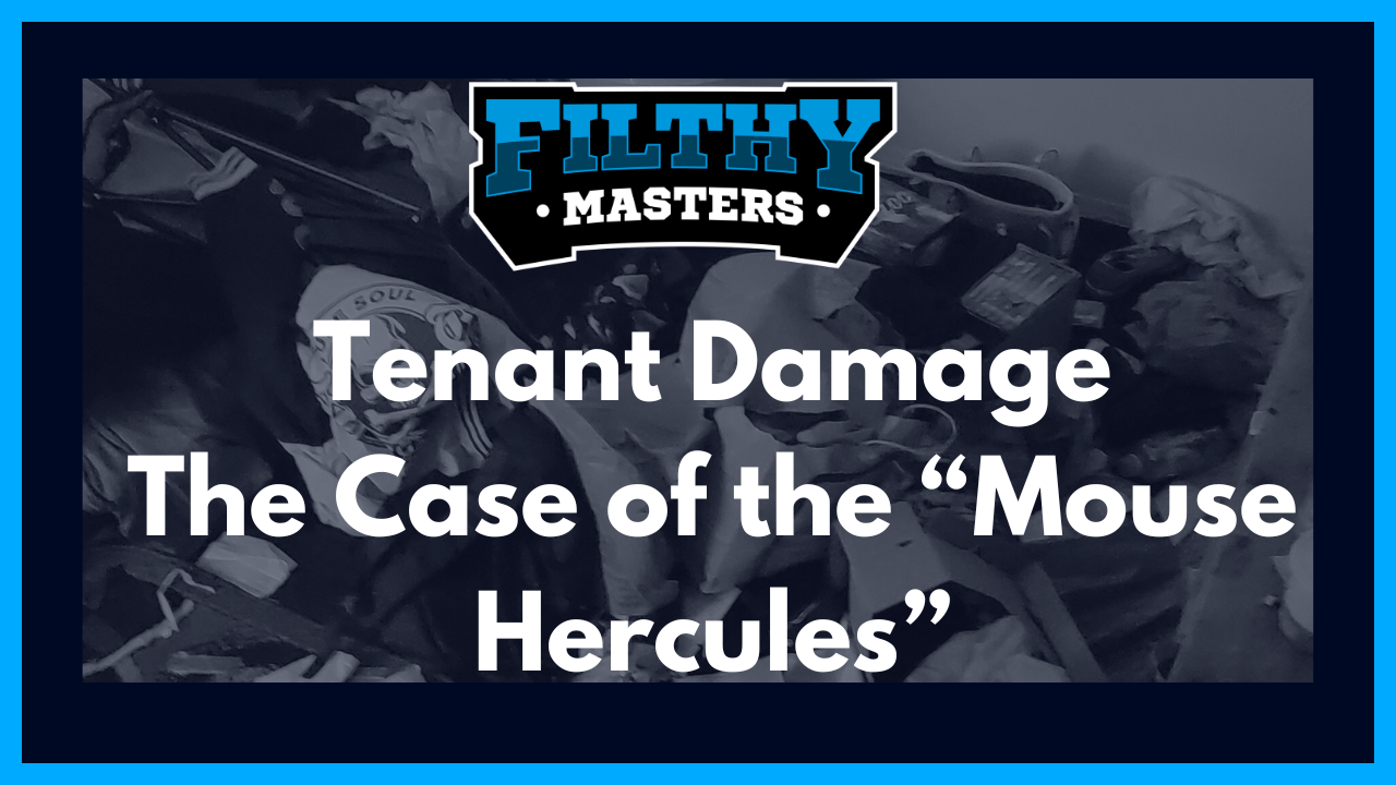 Blog post tenant damage cleanup with testimonial from client