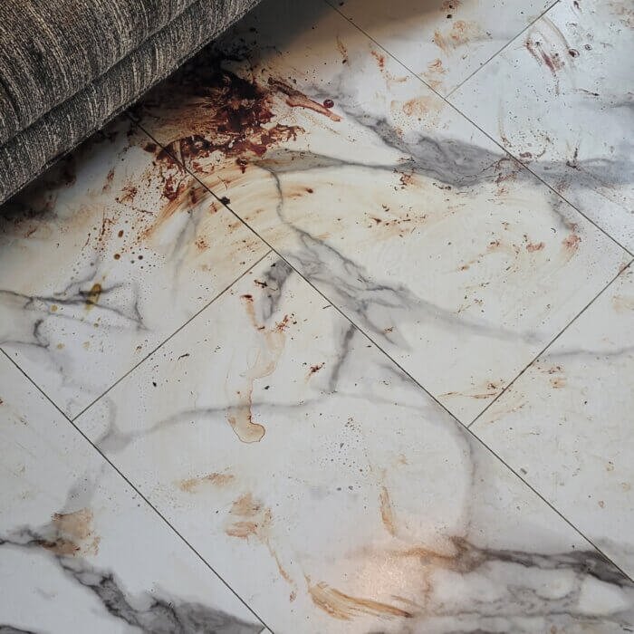 a picture of an unattended death blood spill that was remediated by Filthy Masters in South West Calgary in the Palliser neighborhood