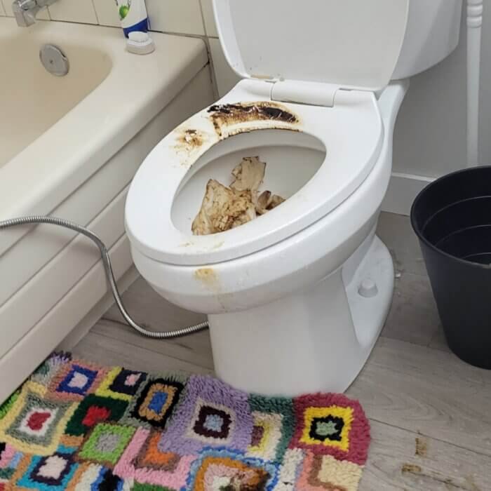 Decontamination service for an accident in a bathroom,