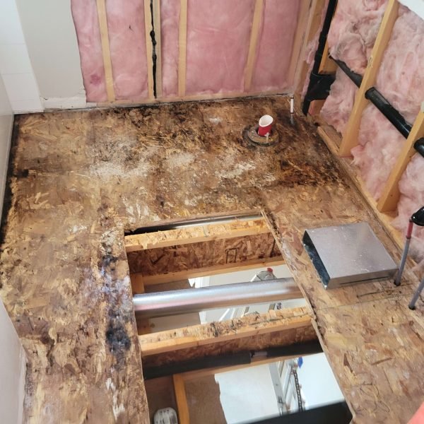 After mold remediation demolition